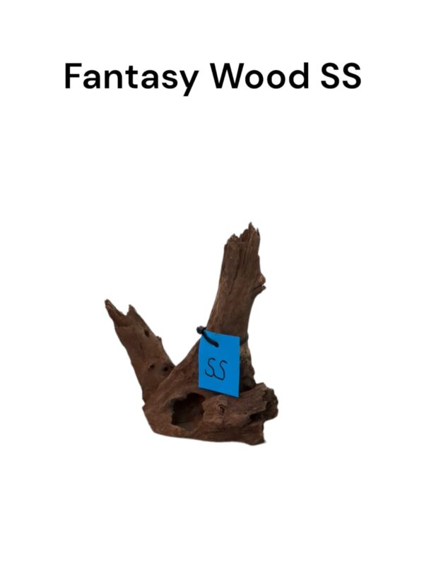 Fantasy Wood SS